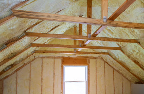 Best Cellulose Insulation in Ottawa, OH