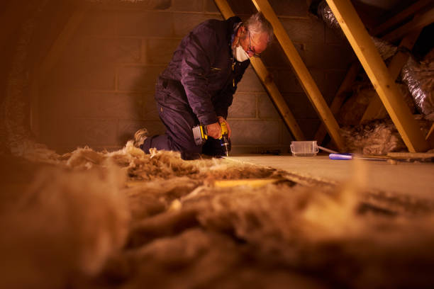 Best Specialized Insulation Services in Ottawa, OH